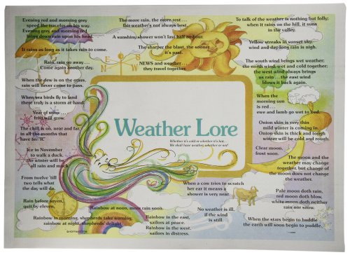 

Hoffmaster 702027 Multipack Facts and Fun Placemat, 14" Length x 10" Width (Case of 1000)