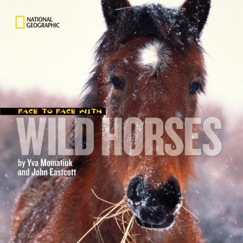 Face to Face With Wild Horses by Yva Momatiuk