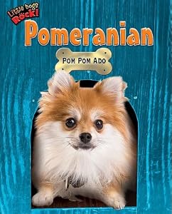 Pomeranian: POM POM ADO (Little Dogs Rock!)