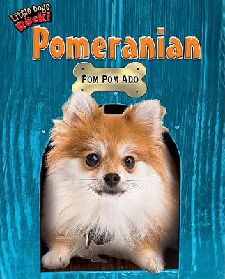 Pomeranian: POM POM ADO (Little Dogs Rock!)