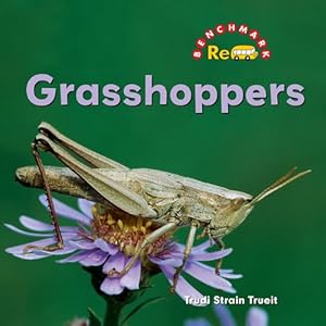Grasshoppers by Trudi Strain Trueit