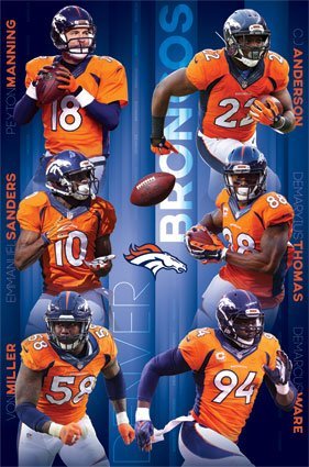 Denver Broncos Team 2015 Manning QB NFL Football Sports Poster 22x34