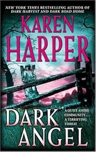 Dark Angel (Maplecreek Amish Trilogy #3)