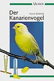 Der Kanarienvogel - Horst Bielfeld