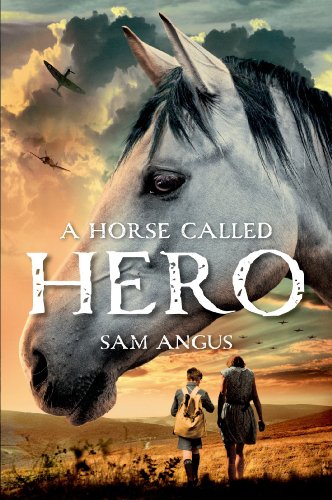 A Horse Called Hero by Sam Angus