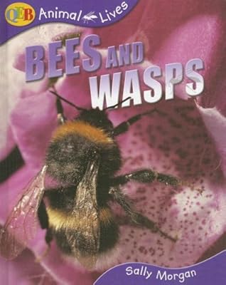 Bees and Wasps