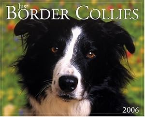 Just Border Collies 2006 16-Month Wall Calendar