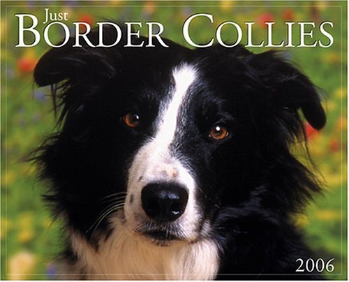 Just Border Collies 2006 16-Month Wall Calendar by Willow Creek Press