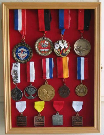 

Sport / Military Medals, Pins, Patches, Ribbons Display Case Cabinet, MPC01(RED)-OA
