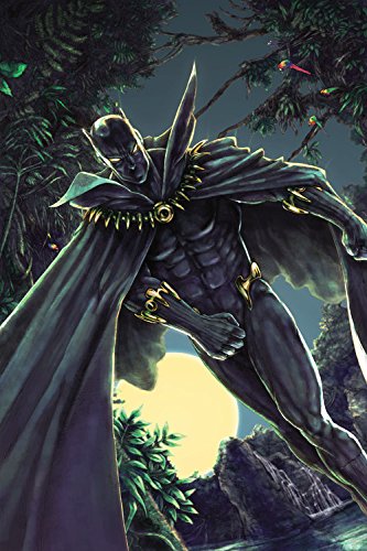 Black Panther by Christopher Priest: The Complete Collection Vol. 3 by Christopher Priest