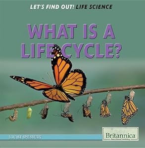 What Is a Life Cycle?