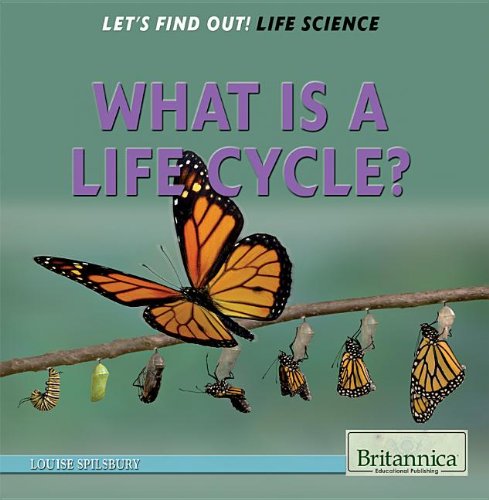 What Is a Life Cycle? by Louise Spilsbury
