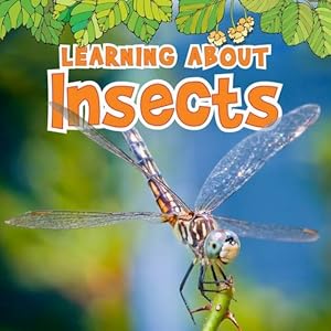 Learning about Insects (Natural World)