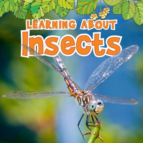 Learning about Insects (Natural World) by Catherine Veitch