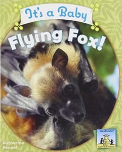 It's a Baby Flying Fox!
