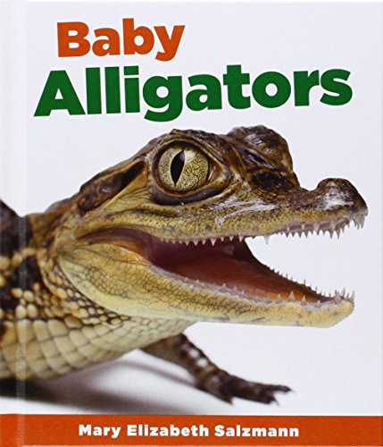 Baby Alligators by Mary Elizabeth Salzmann