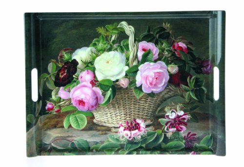 Algopix Similar Product 20 - Nuova R2S R8610270 Tray 52 x 37 cm