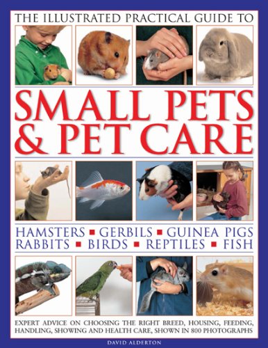 Small Pets & Pet Care, The Ill Practical Guide to: Expert advice on choosing the right breed, housing, feeding, handling, showing and health care, shown in 800 photographs by David Alderton