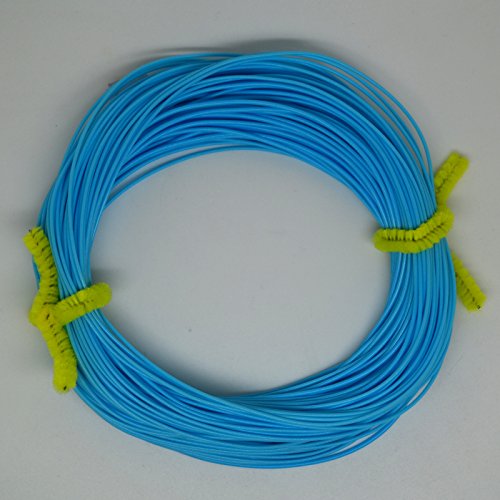 100FT Weight Forward Floating (4F,5F,6F,7F,8F) Fly Fishing Lines Orange, Blue, Yellow,Green (Sky Blue, WF-8F)