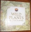 Wild Plants of Jubail & Yanbu: Their General Characteristics and Uses