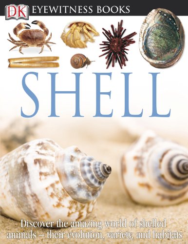 DK Eyewitness Books: Shell by Alex Arthur