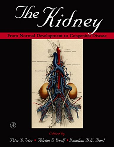 The Kidney: From Normal Development to Congenital Disease by Peter D. Vize