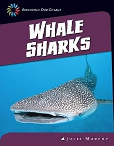 Whale Sharks