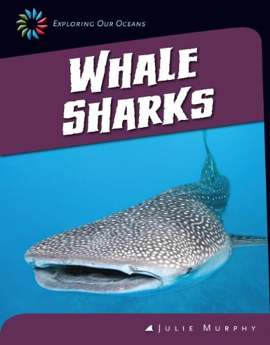 Whale Sharks by Julie Murphy