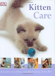 Kitten Care