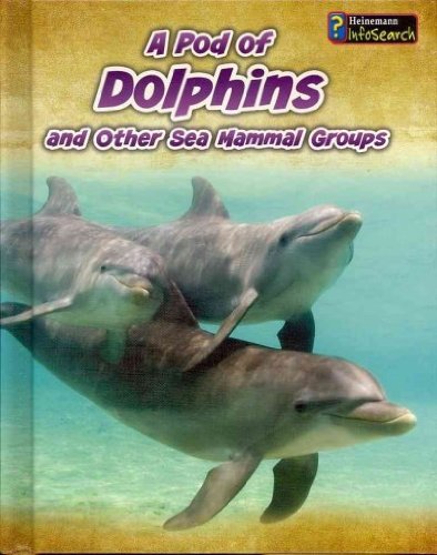 A Pod of Dolphins: and Other Sea Mammal Groups by Richard Spilsbury