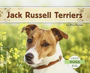Jack Russell Terriers