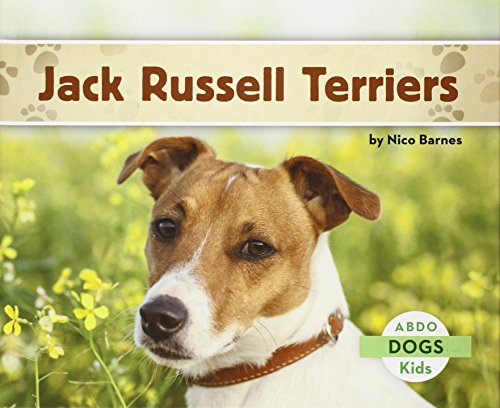 Jack Russell Terriers by Nico Barnes