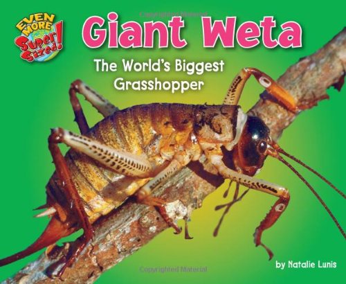 Giant Weta: The Worlds Biggest Grasshopper by Natalie Lunis