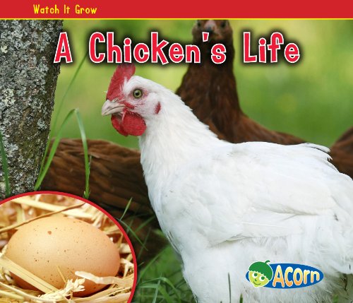 A Chicken's Life by Nancy Dickmann