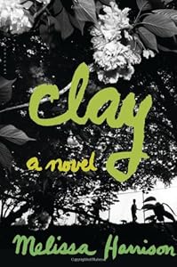 Clay: A Novel