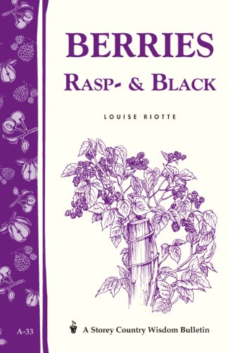 Berries, Rasp- & Black by by Louise Riotte