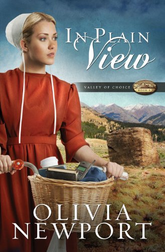 In Plain View (Valley of Choice Book 2) by Olivia Newport