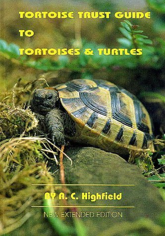 Tortoise Trust Guide to Tortoises & Turtles by A. C. Highfield