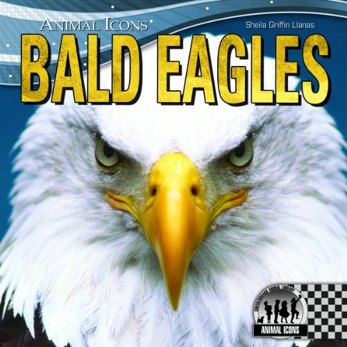 Bald Eagles by Sheila Griffin Llanas