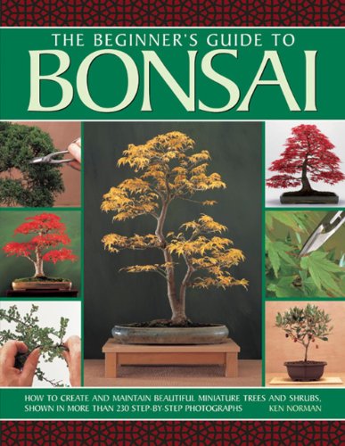 The Beginner's Guide to Bonsai: How To Create And Maintain Beautiful Miniature Trees And Shrubs, Shown In More Than 230 Step-By-Step Photographs by Ken Norman
