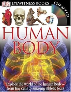 Human Body