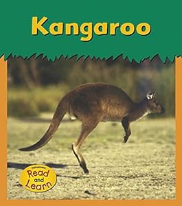Kangaroo (Zoo Animals)