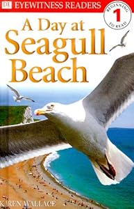 DK Readers: Day at Seagull Beach (Level 1: Beginning to Read)