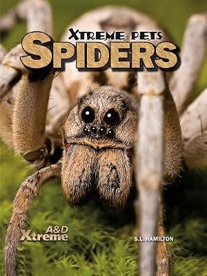 Spiders