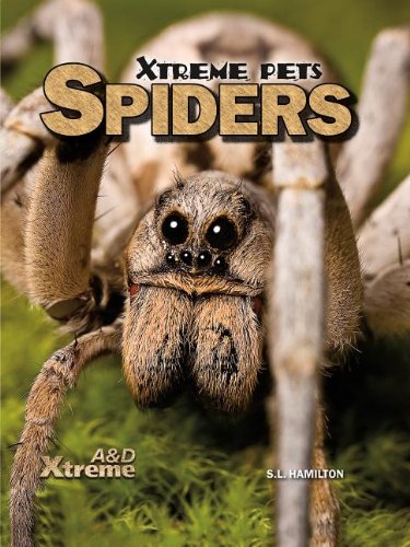 Spiders by S. L. Hamilton