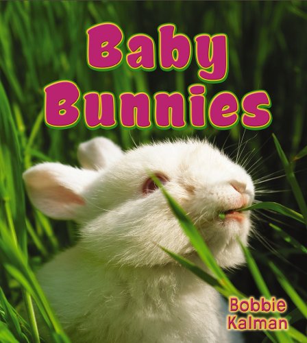 Baby Bunnies (It's Fun to Learn about Baby Animals) by Bobbie Kalman