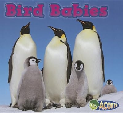 Bird Babies