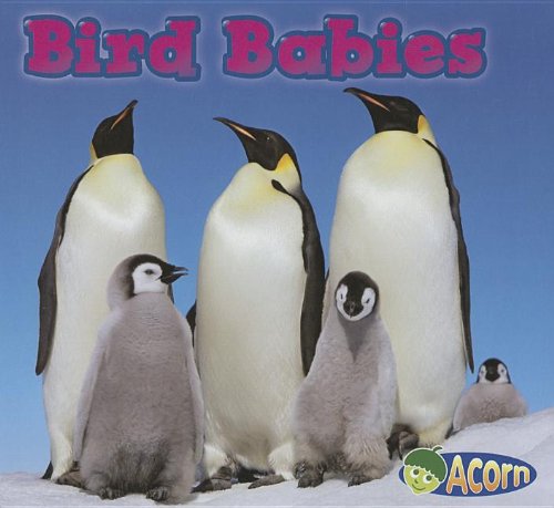 Bird Babies by Catherine Veitch