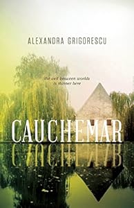 Cauchemar by Alexandra Grigorescu