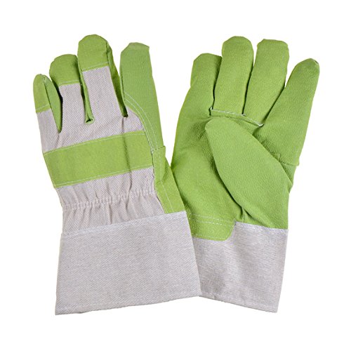 Algopix Similar Product 3 - Suki Winter Glove with Plastic Leather